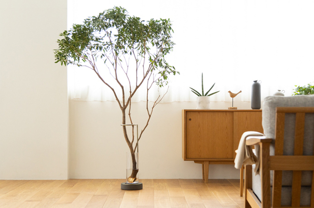 青山フラワーマーケットと共同開発 Eda Vase エダ ベース Trinus トリナス プロダクト共創プラットフォーム