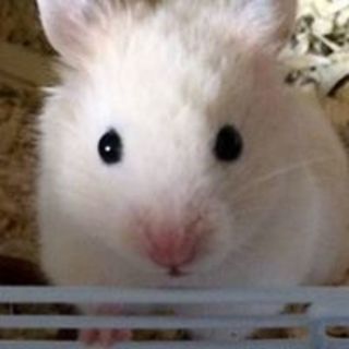 Thumb 320x320 20200418183021