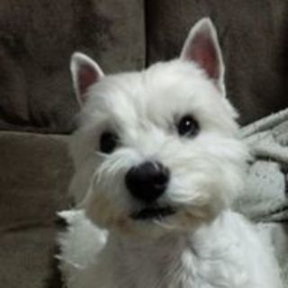 Thumb 320x320 20210429140527